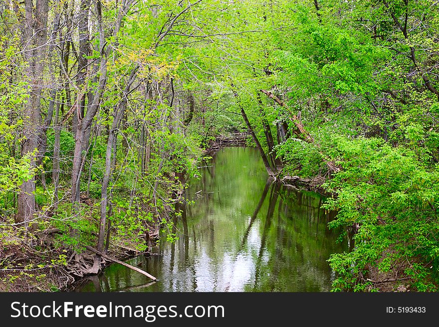 A peaceful stream in the midst of a beautiful green forest. A peaceful stream in the midst of a beautiful green forest.