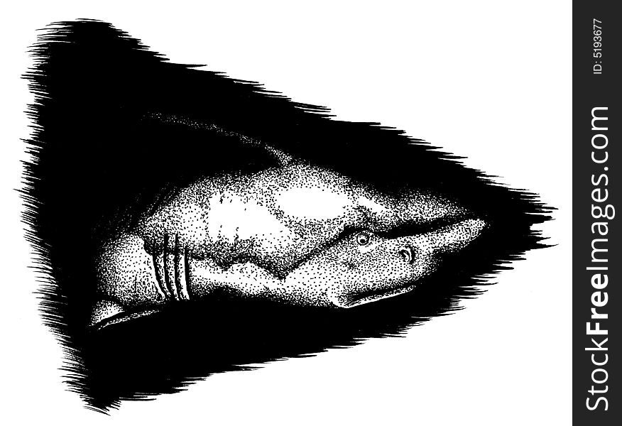Illustration of shark emerging from the shadows. Illustration of shark emerging from the shadows