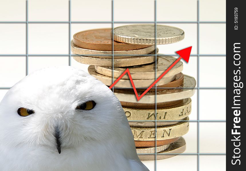 Owl overlaid onto UK coins and graph. Owl overlaid onto UK coins and graph