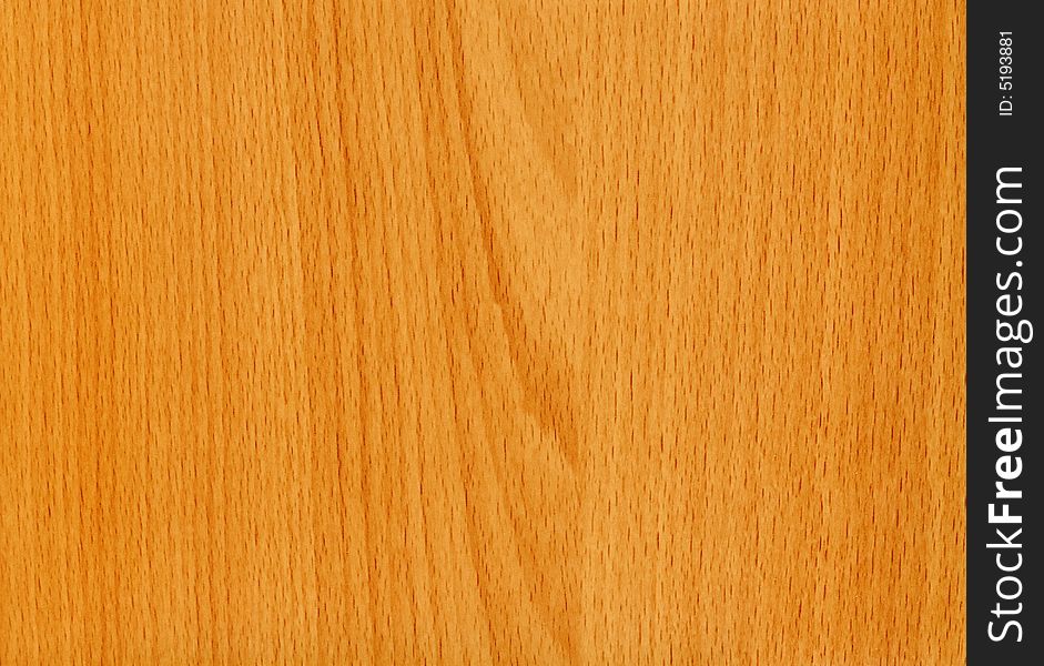 Close-up wooden Beech Maintal texture