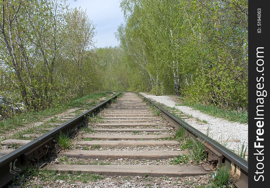 The railway in a wood. The rails leaving afar. The railway in a wood. The rails leaving afar