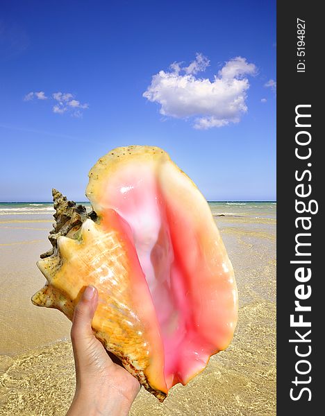Detail of a hand holding seashell against crystal clear water on tropical beach