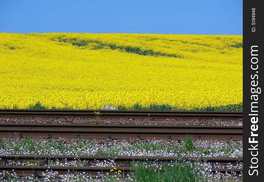 A double railway tracks near a yellow field of the blooming on the Polish village. A double railway tracks near a yellow field of the blooming on the Polish village.