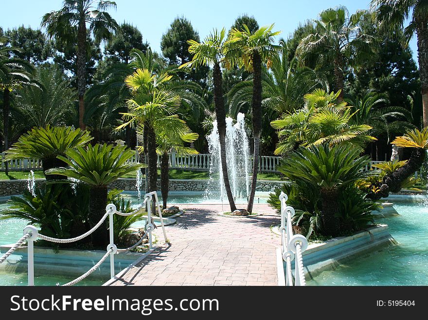 There are some palm-trees on a small artificial lake. There are some palm-trees on a small artificial lake.