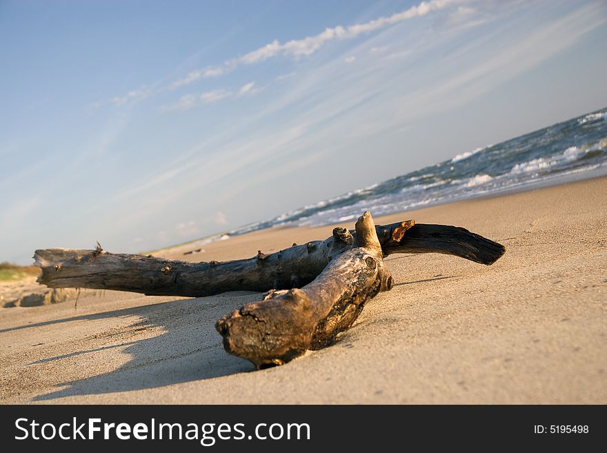 Log on the Baltic sea coast. Log on the Baltic sea coast