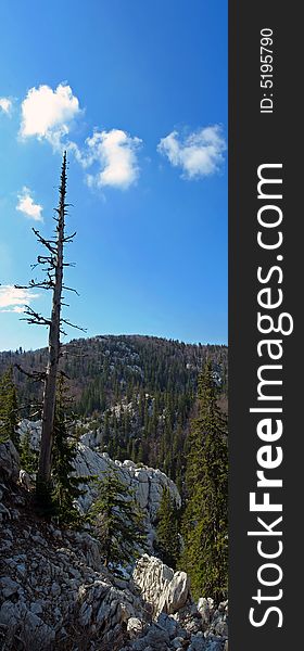 Mountain scene during spring day, Velebit, Croatia