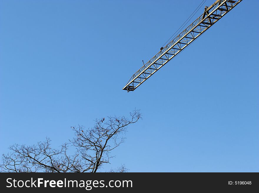 Crane and tree in the  blue sky. Crane and tree in the  blue sky