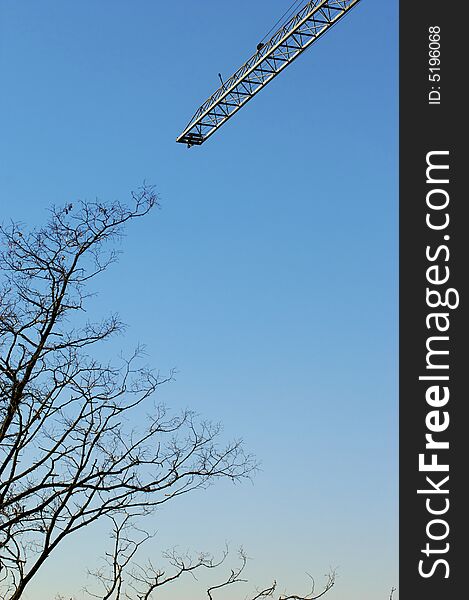 Crane and tree in the  blue sky. Crane and tree in the  blue sky