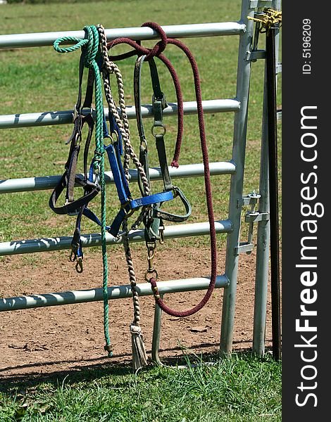 Horse bidels and ropes on a fence