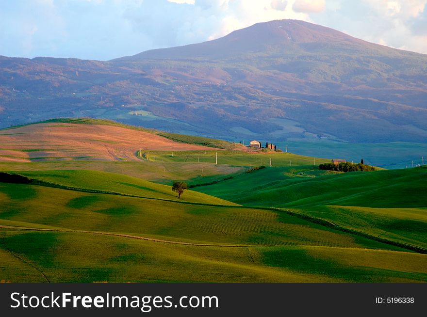 Mountains And Fields Of Wheat In Tuscany