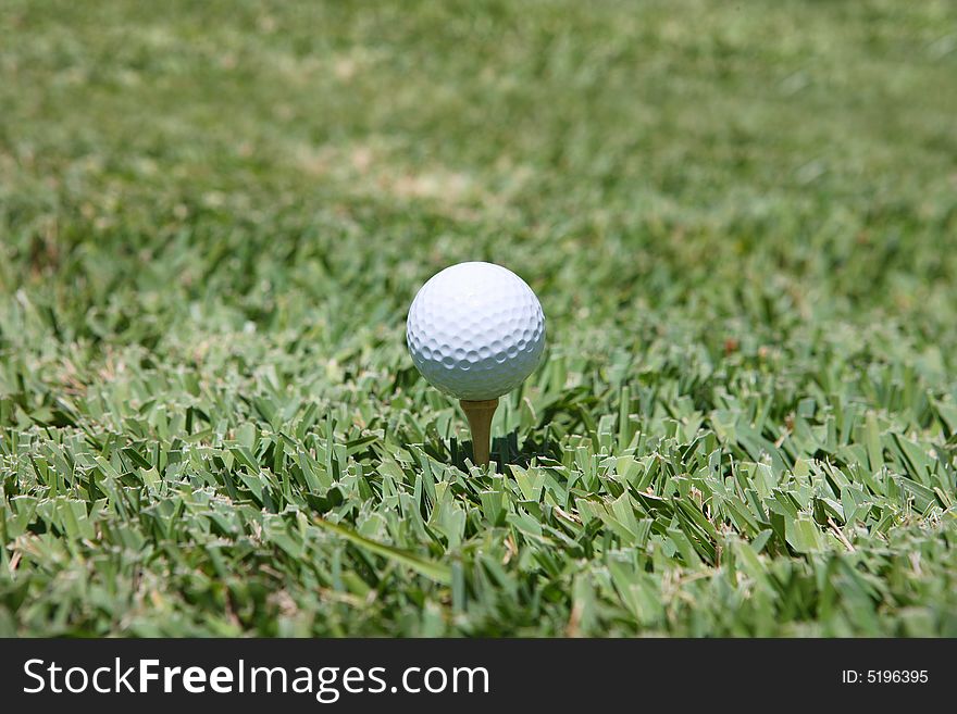 Golf and dimple in the grass