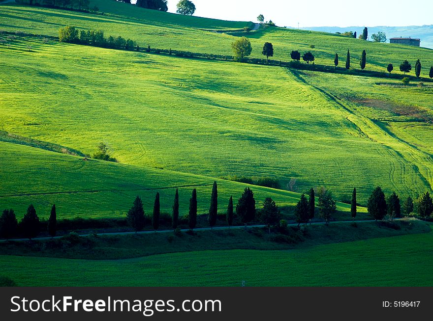 Rural countryside landscape in Tuscany, taly. Rural countryside landscape in Tuscany, taly.