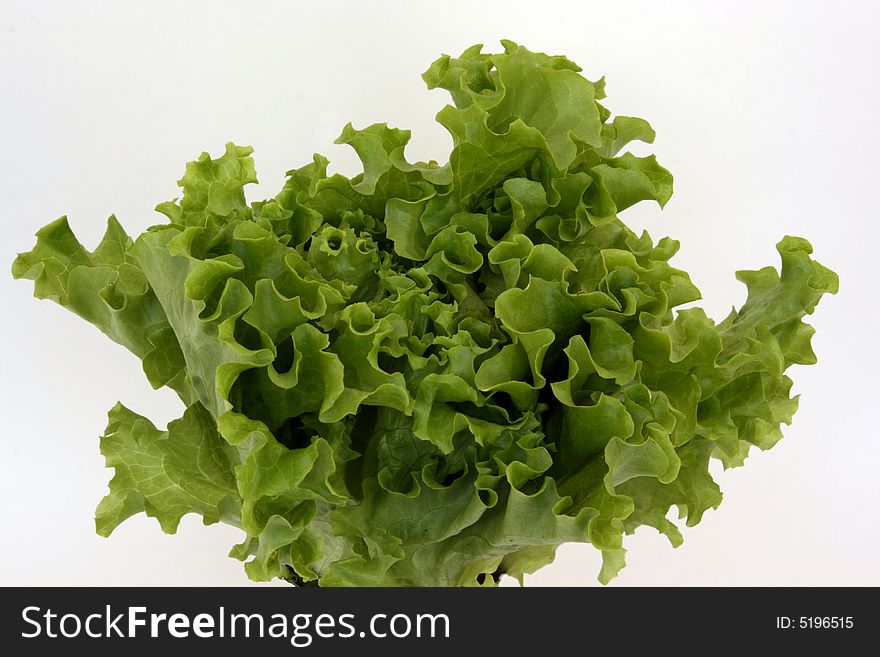 Sheet lettuce for lettuces and decoration of meal, vegetarian food