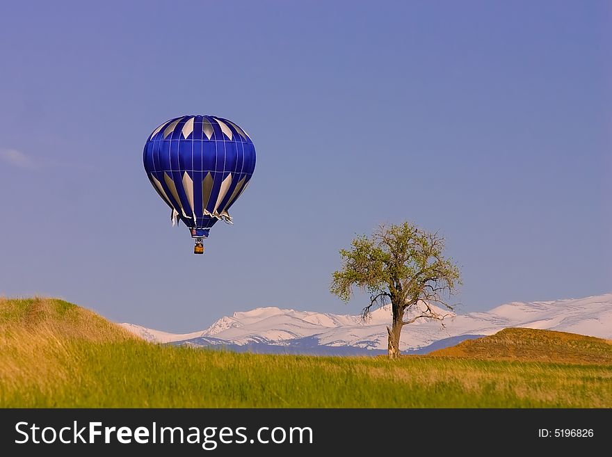 A blue Hot Air Balloon floats past a tree with snowy mountains in the distance. A blue Hot Air Balloon floats past a tree with snowy mountains in the distance