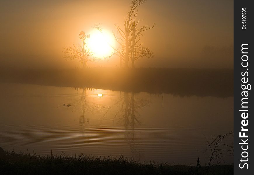 It was a cold foggy morning until the sunrose as normal in australia in summer the heat quickly made the fog rise. It was a cold foggy morning until the sunrose as normal in australia in summer the heat quickly made the fog rise.