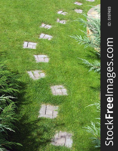 Garden stone path with grass growing up between the stones