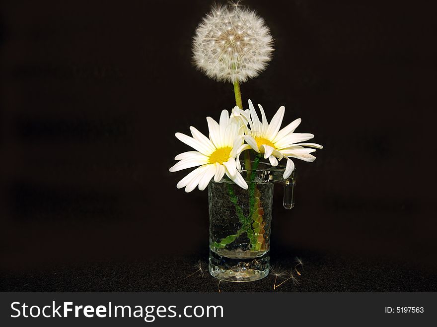 Fluffy dandelion and daisy in a glass. Fluffy dandelion and daisy in a glass.