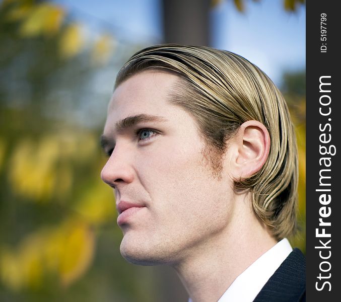 Profile view of handsome blond hair blue eye businessman wearing suit and tie