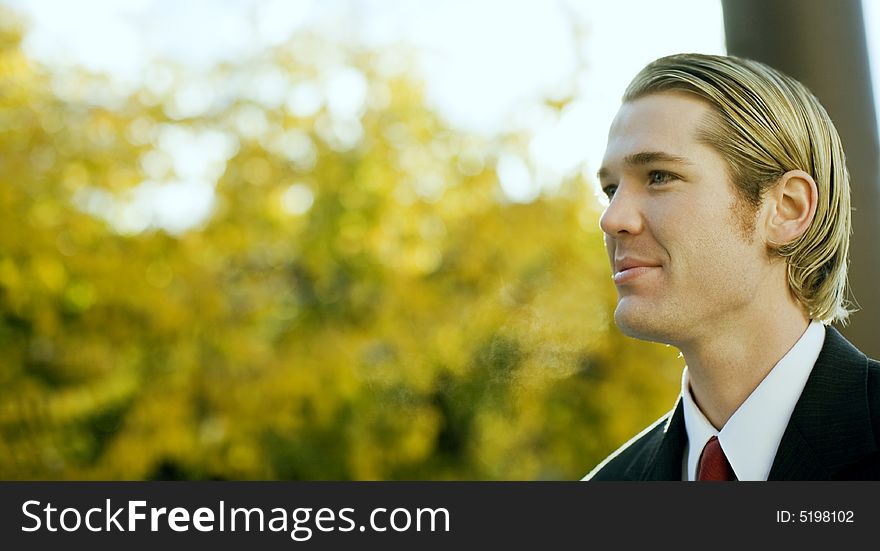 Portrait of young handsome blond hair blue eye businessman wearing suit and tie