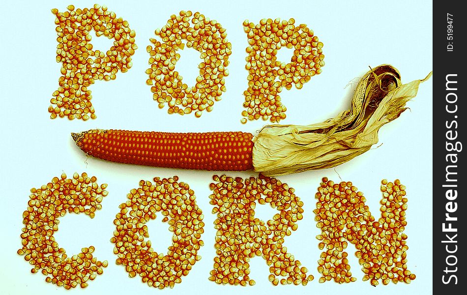 Corns of maize on a white background