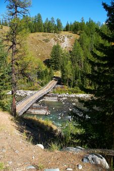 Bridge, Firs And River Stock Photo Bridge, Firs And River Stock Photo