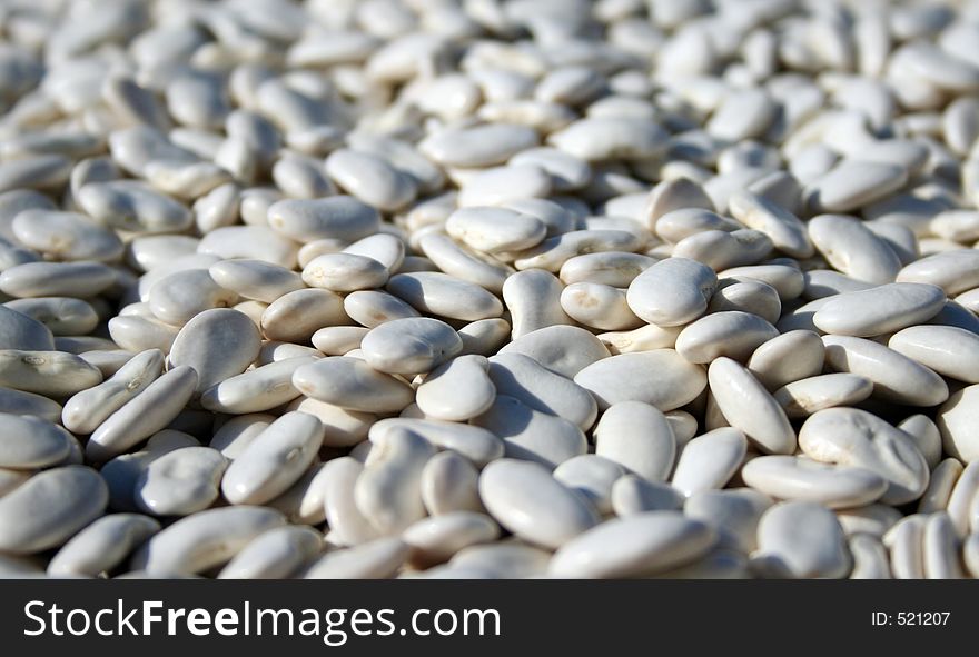 Lots of dried beans, shallow DOF on first 1/3 of image.