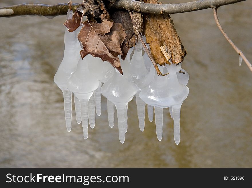 Icicles on a branch