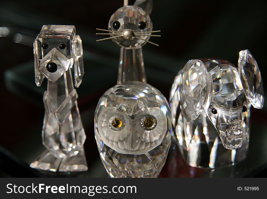 Dog , cat , elephant , bird glass