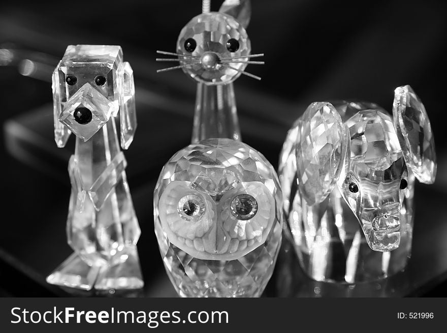 Cat , dog , elephant, bird glass