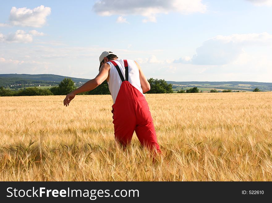 Farmer in a barley field