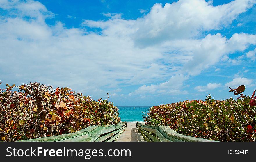 South Florida Beach Access. South Florida Beach Access