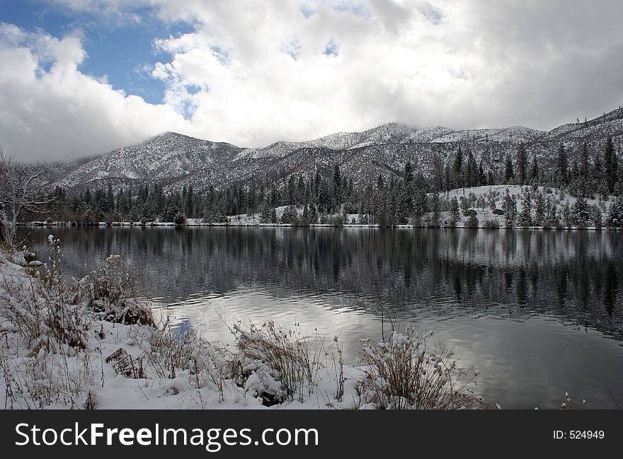 Winter Reflections