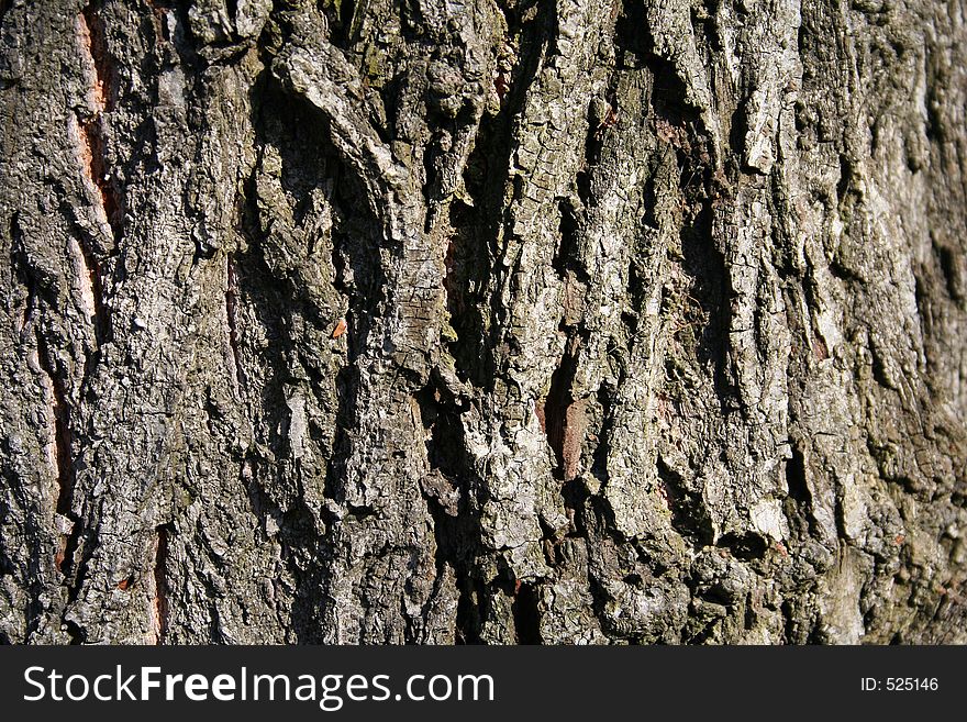 Brown tree bark texture.