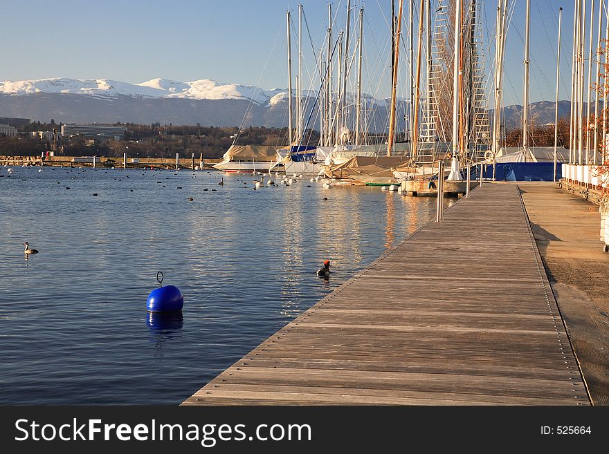 Harbour of Nautic Society on the lake in geneva. Harbour of Nautic Society on the lake in geneva