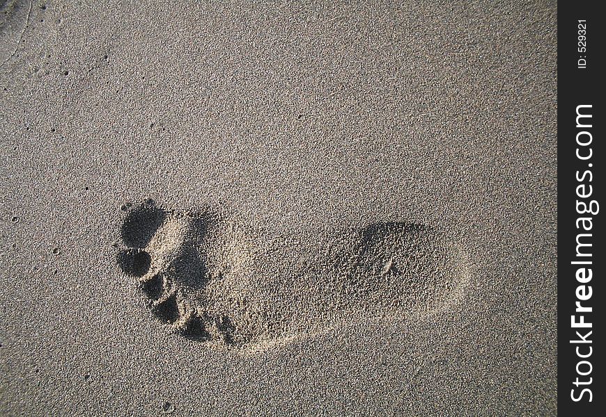 A small footprint in the sand