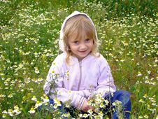 Little Girl And Camomiles. Stock Photography Little Girl And Camomiles. Stock Photography