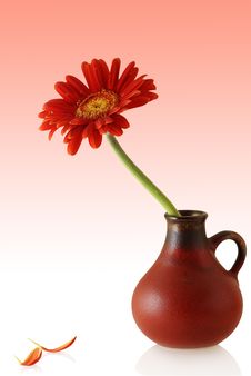 Gerber In Red Vase With Couple Single Petals Stock Photos Gerber In Red Vase With Couple Single Petals Stock Photos
