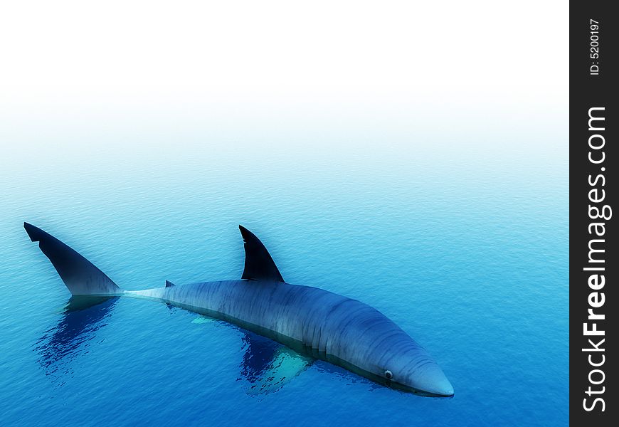 An image of a shark swimming in the water. An image of a shark swimming in the water.