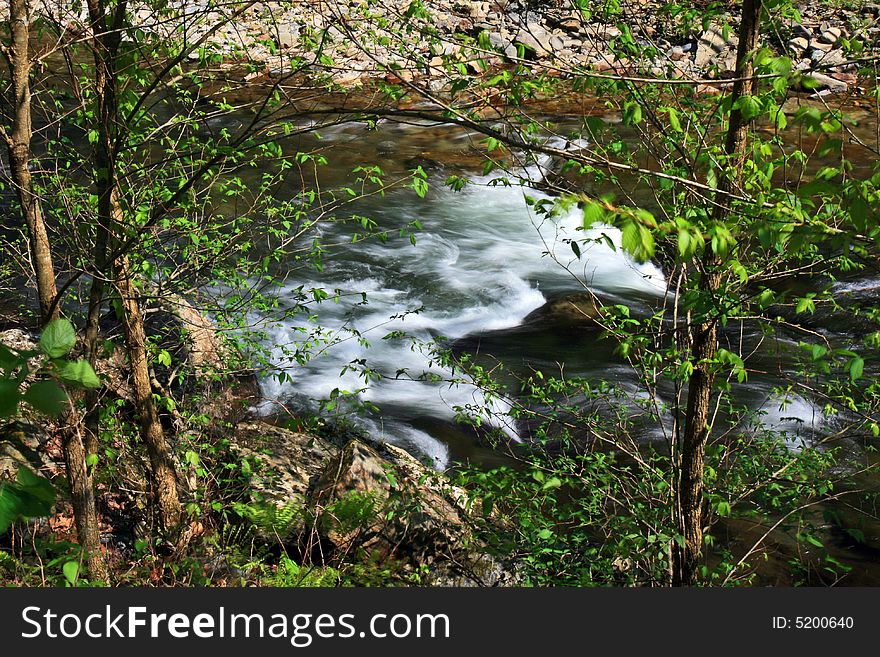 Water streams and cascades in the Great Smoky Mountain National Park