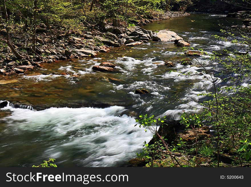Water streams and cascades in the Great Smoky Mountain National Park