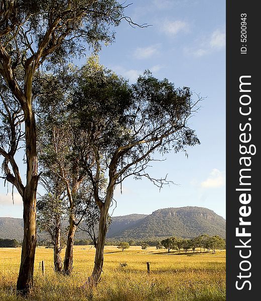 This is a shot of the valley plains in heartly valley just west of the blue mountains NSW australia. This is a shot of the valley plains in heartly valley just west of the blue mountains NSW australia.