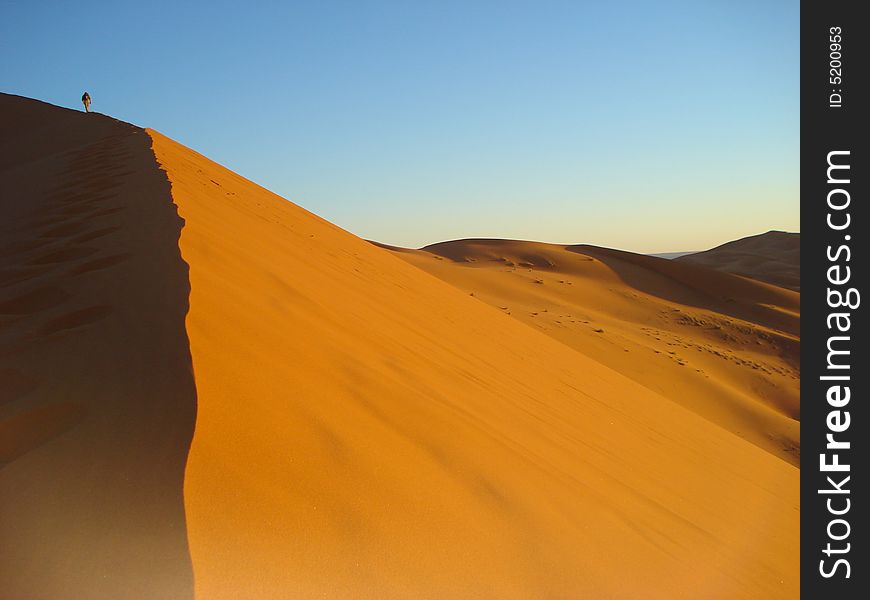 Climbing a large dune in the Sahara Desert during sunrise. Photo taken on the Eastern edge of Morocco. Climbing a large dune in the Sahara Desert during sunrise. Photo taken on the Eastern edge of Morocco.