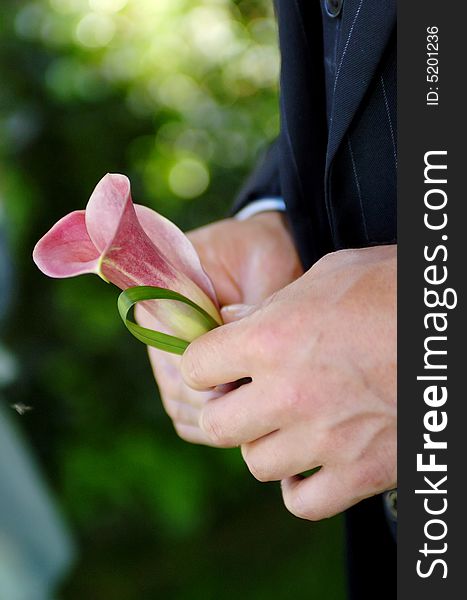 Close up photo of groom holding wedding buttonhole. Close up photo of groom holding wedding buttonhole