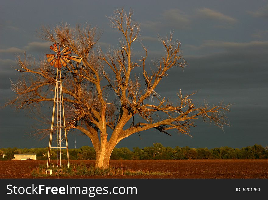 An old abandoned windmill next to a barren tree