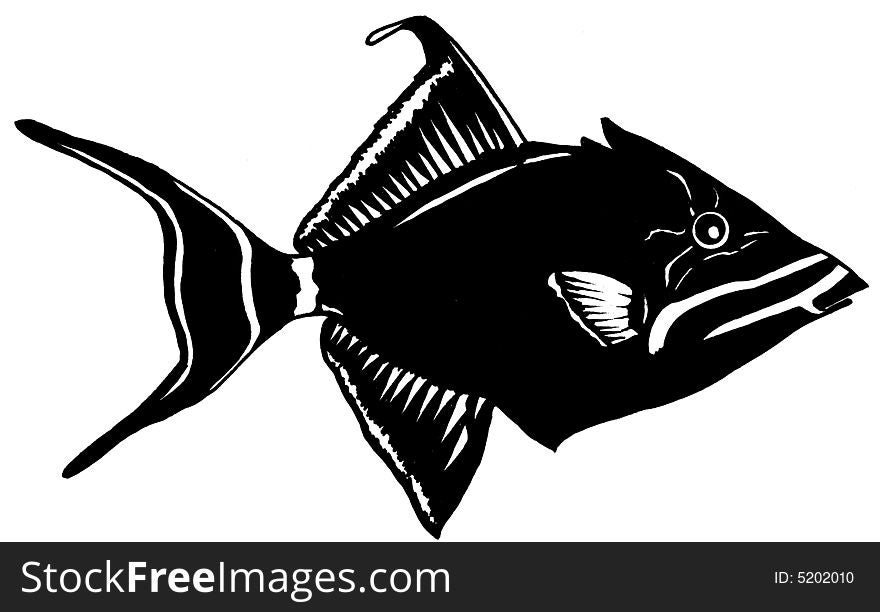 Realistic illustration of a triggerfish. Realistic illustration of a triggerfish.