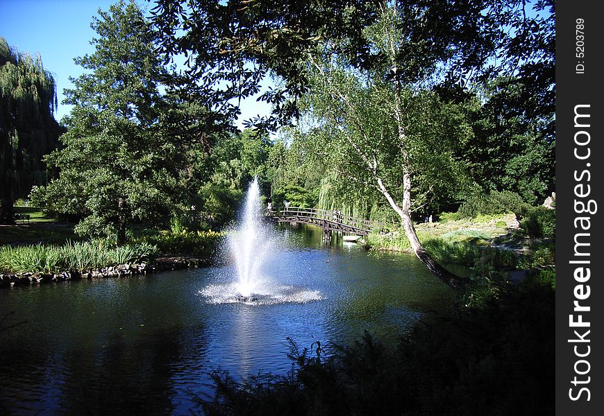 Quiet botanical gardens with a small fountain