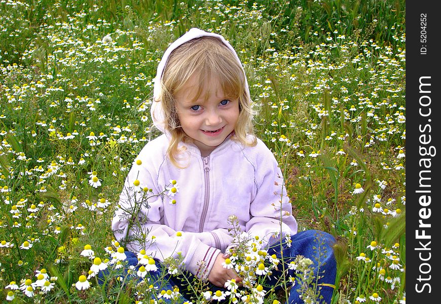 Little girl and camomiles.