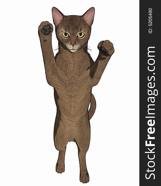 Cartoon Cat Shadow Boxing.  Computer generated image, 3 dimensional model
