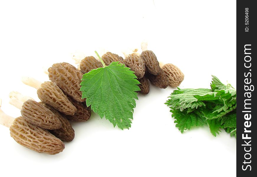 Morels And Nettles