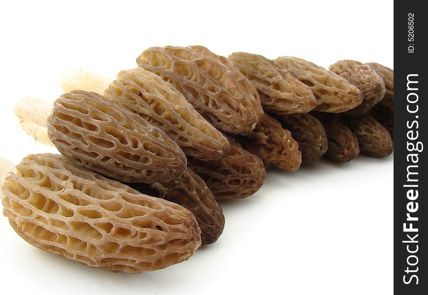 Morel mushrooms, as a delicacy, isolated over white.